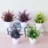 Popular Artificial Bonsai Fresh-keeping Plastic Decorate