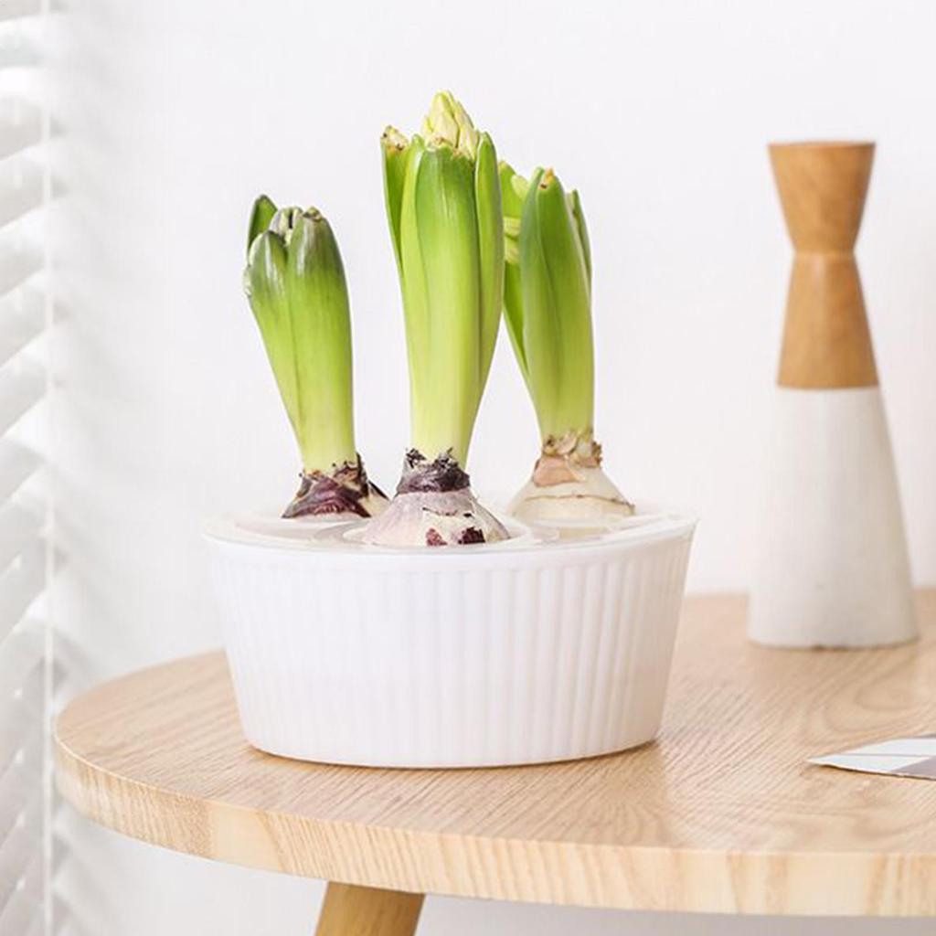 Гидропонная посадочная емкость с 3 отверстиями, контейнер для выращивания, емкость для посадки цветочных луковиц, посадочная емкость для гиацинтов, гидропонный цветочный горшок для цветочных луковиц