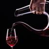 Swan Design U-shaped Wine Decanter 1.2L Wine Dispenser Wine Accessories Carafe Wine Aerator  Party