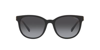 Солнцезащитные очки HC8350U CD478 50028G ЧЕРНЫЕ 54 [Coach] Женские