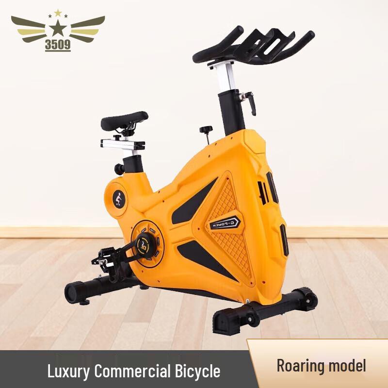 3509 Indoor Fitness Spinning Bike