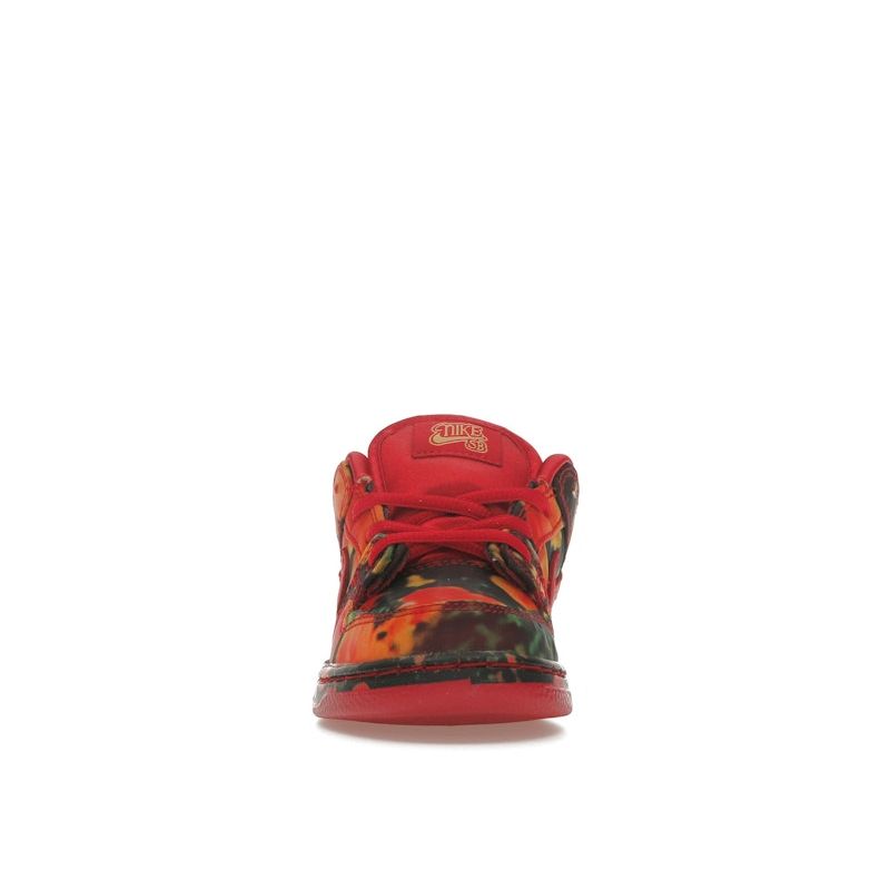 Волшебник страны Оз x Nike Dunk Low SB TD Поле маков Детские кроссовки Красный Varsity-Red Университетский золотой FZ1237-600