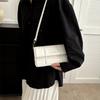 Fashionable Minimalist Shoulder Bag For Women 2023 Spring Trendy Small Crossbody Bag