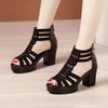 Summer Sandals Women's 2025 New Rhinestone Hollow Fashion Women's Sandals Fish Mouth Non-slip Versatile High-heeled Roman Sandals