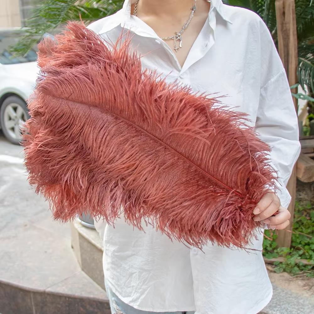 15-60Cm Natural Ostrich Feathers | High-Quality For Diy, Wedding, Party, Stage, Costume & Home Decor | Various Colors Available