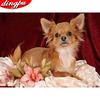Diamond Painting Dog Animal Cross Stitch Kit Home Decoration Full Square Drill Mosaic