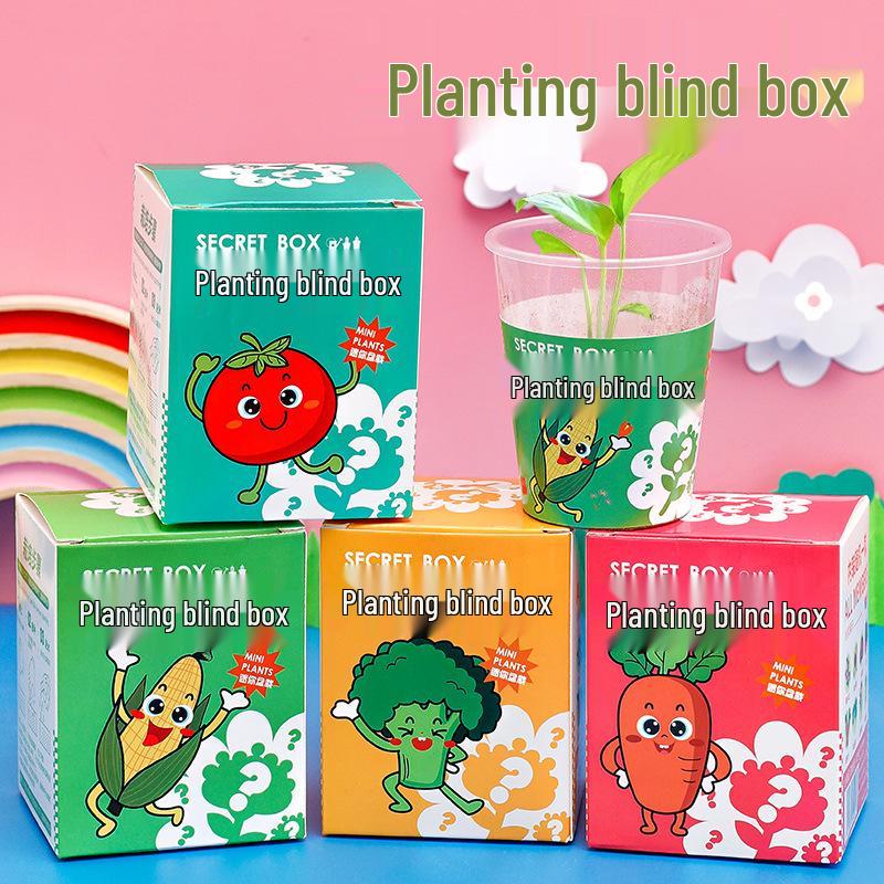 Surprise Box Potted Plant Gift for Kids - Perfect for School Rewards, Graduations, and Birthdays