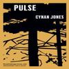 Pulse by Cynan Jones Hardback Book 9781783782772