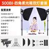 Professional LED Spherical Fill Light Streamers Video Shooting Studio Use