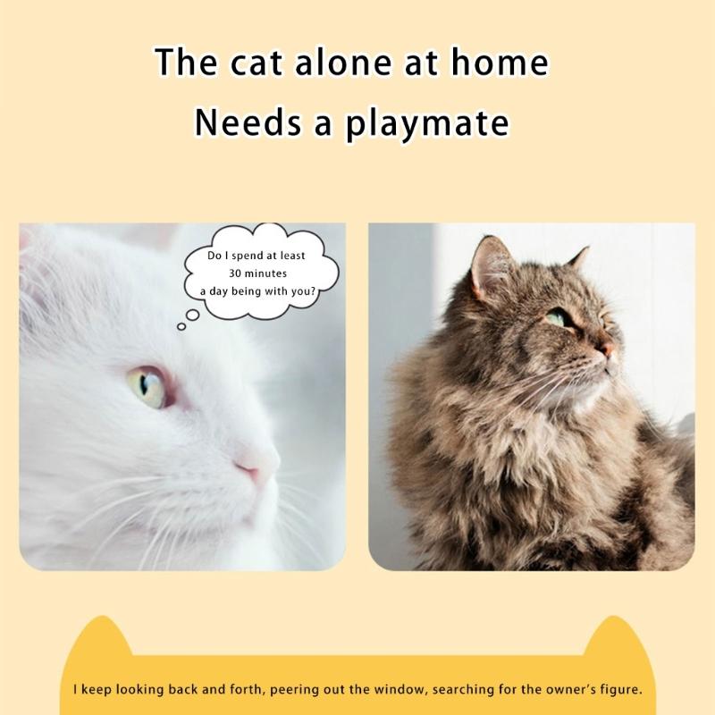 Automatic Rotating Cats Activity Box Interactive Maze Design Chew Proof For Curious Kittens