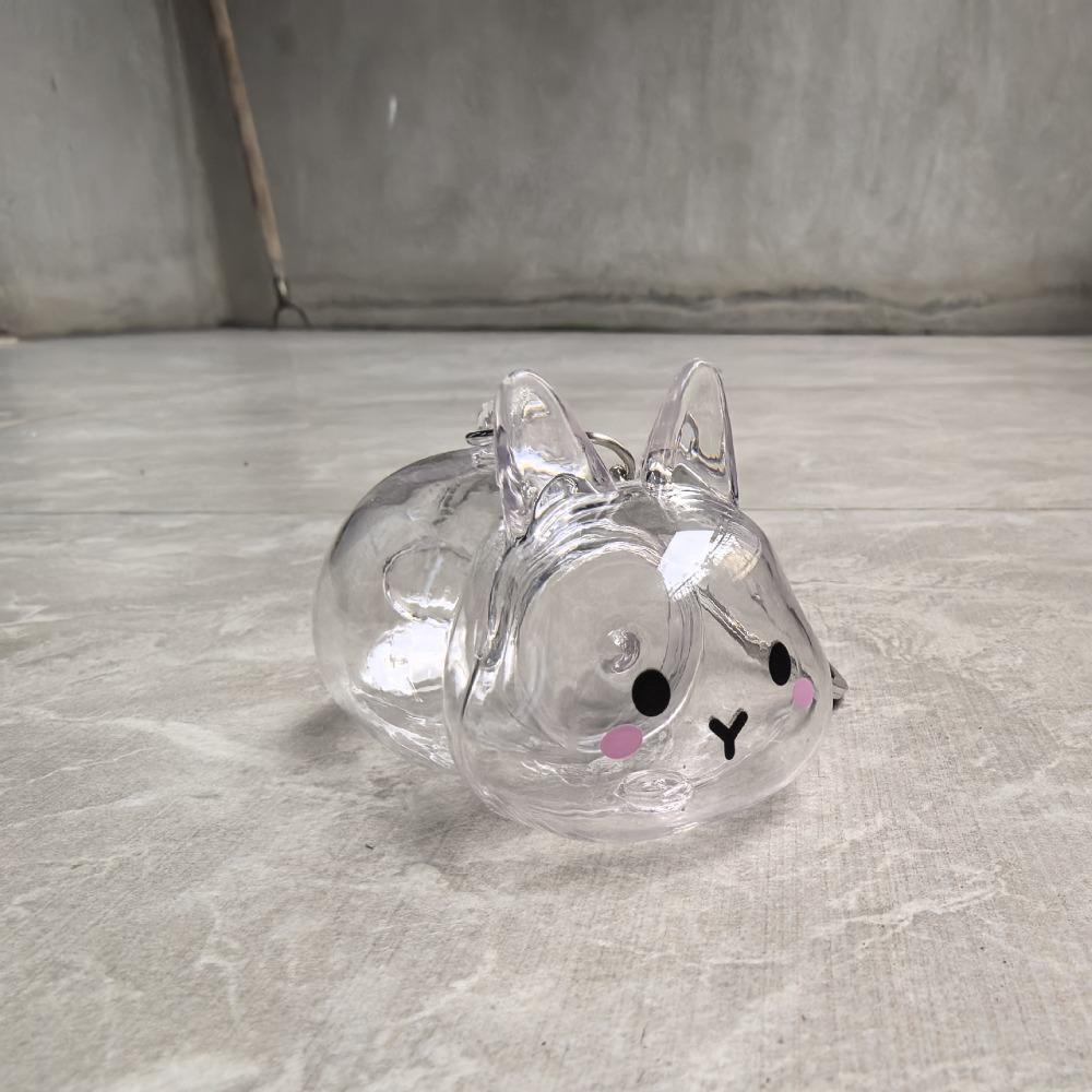 Keyrings Memorial Pet Hair Storage Keychain Transparent Rabbit Hair Storage Box Jewelry Gifts