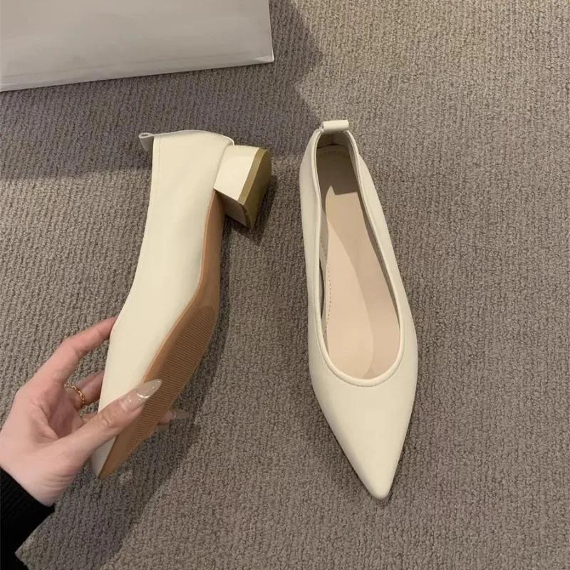 Women's Shoes 2025 Brand Shallow Women's Flats Fashion Solid Daily Flats Women Sexy Pointed Toe Flat Low Heels Zapatos Mujer