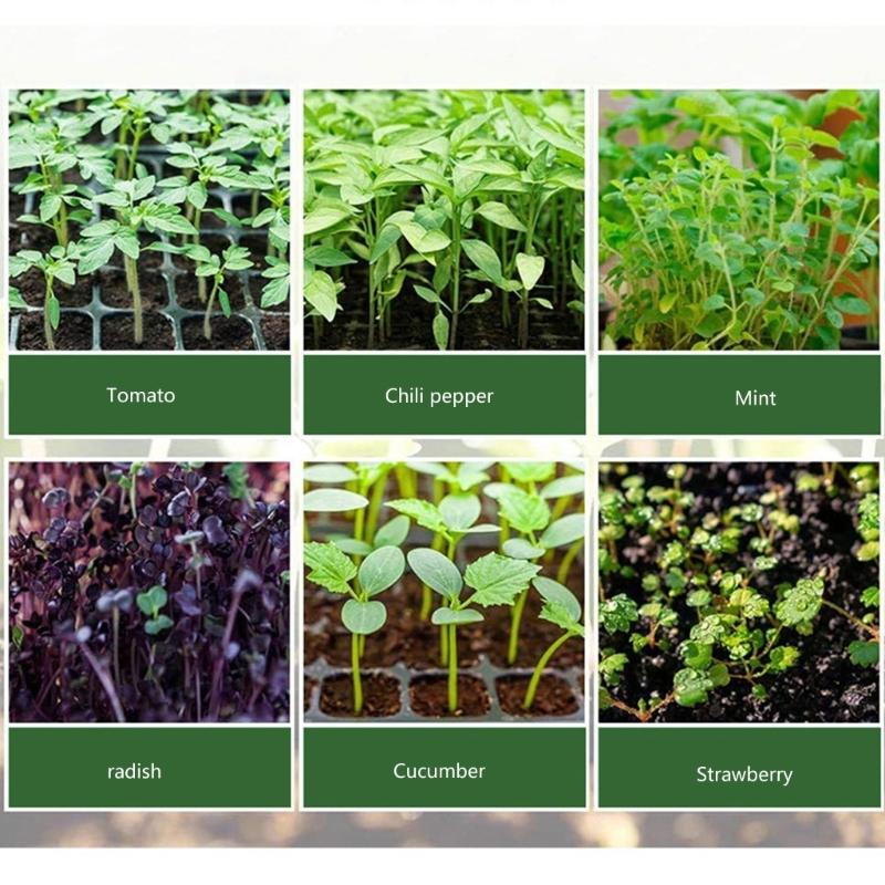 Пластиковые наборы для выращивания рассады со светодиодной лампой для выращивания, поддон для рассады с дренажными отверстиями, ящик для проращивания овощей