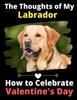 Книга The Thoughts of My Labrador : How To Celebrate Valentine's Day