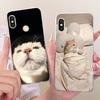 For Xiaomi Redmi Note 6 Pro Cute Flower Butterfly Cat Painted Case For Redmi Note6 Soft Silicone TPU Phone Cases
