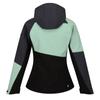 Regatta Womens/Ladies Desoto IX Soft Shell Jacket