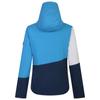 Dare 2B Womens/Ladies Ice Colour Block Ski Jacket