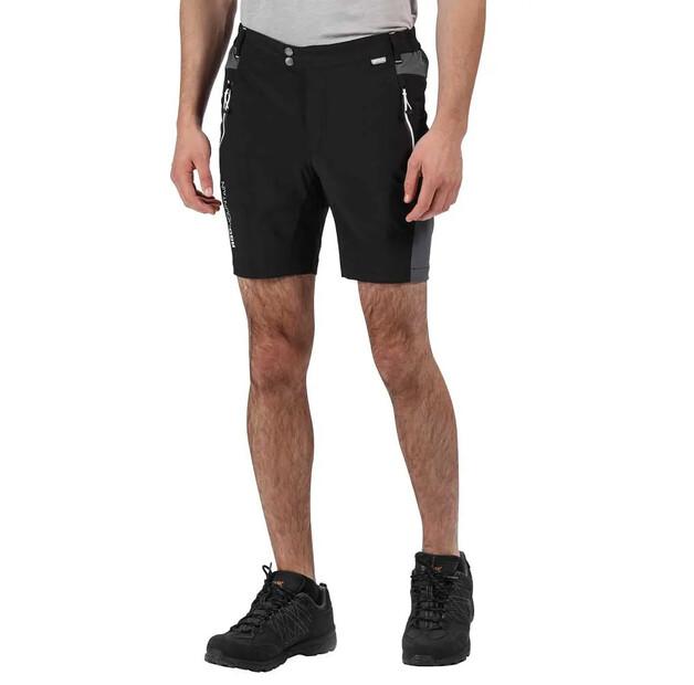 Regatta Шорты Mountain