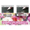 [Fujifilm] instax mini LiPlay PET Film, 9H Hardness, Anti-Glare, Made in Japan, OverLay Plus O9HLINSTAXLIPLAY/12