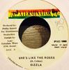 7inch Record SIZZLA - She's Like The Roses NONE Xterminator 1998 Jamaica Reggae, Ska & Dub Used