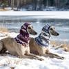 Vintage Fleece Dog Snood Hood Soft Thermal Winter Pet Neck Warmer Scarf for Italian Greyhound Dogs Outdoor Windproof Head Cover