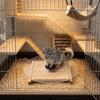 Glass Chinchilla Running Plate Silent Small Animal Health Runner Hamster Running Wheel  for Gerbils