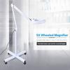 Stand Beauty Cosmetic Makeup Tattoo Manicure 5xMagnifying Lighted Magnifier Light Floor Lamp