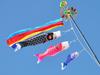 Hidemitsu Doll Workshop Miniature Koi Nobori Yuzen Full Set with Mounting ZC734285P1 (Carp Streamer), Pattern, 1m, Hardware,