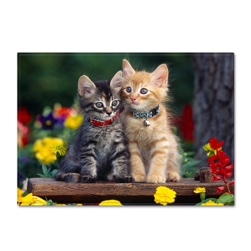 Животное Большой Ковер Перо Ветер Спальня Напольный Коврик