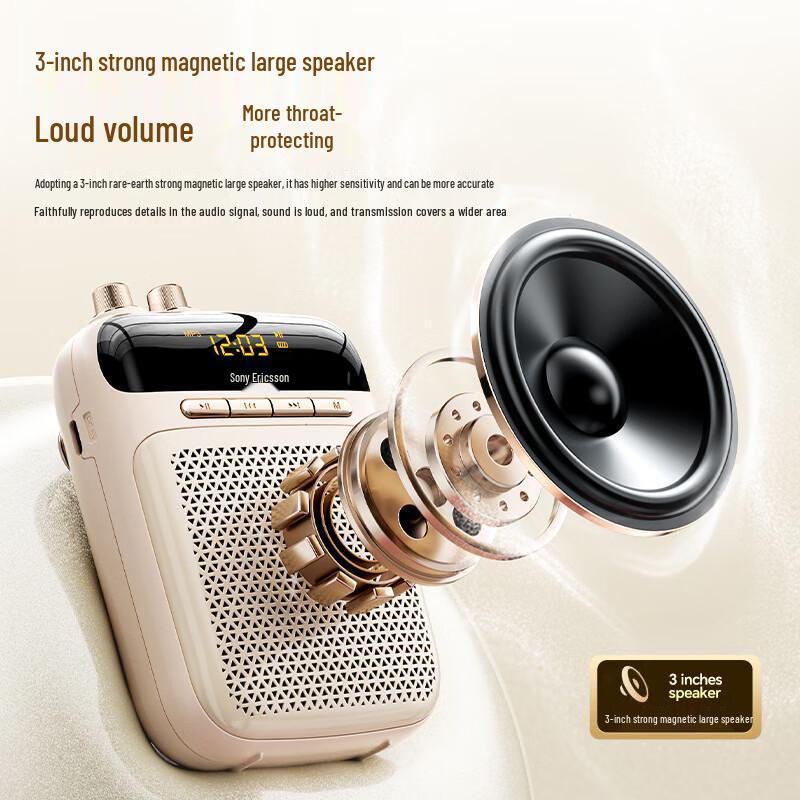 Soaiy S-318Pro Wireless Dual-Mic Lavalier Amplifier Speaker CN plug (adapter included)