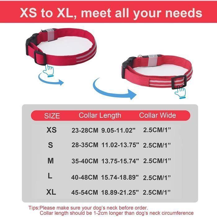 Collier pour chien - Taille M - Étanche - Rechargeable - Super lumineux