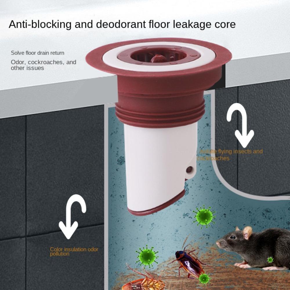 Устойчивость к коррозии Сливной сердечник для пола Уплотнительное кольцо Сливной фильтр Бытовой
