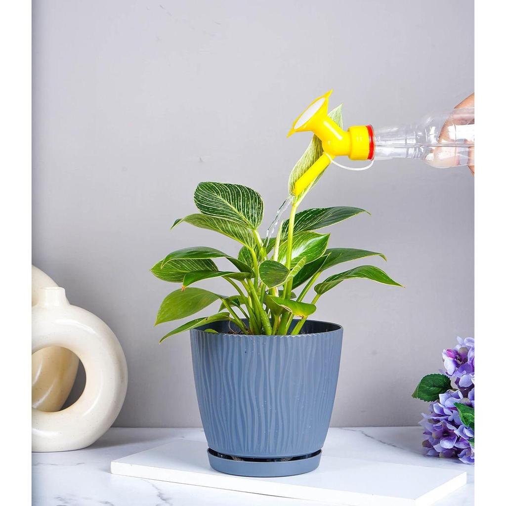 Set of 4 Self Watering Pots for Home, Decor & Garden | Flower Pots, Planters for Indoor Plants | Plastic Pots for Living Room