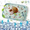 Breathable Hamster Cooling Mat Soft Small Pet Cooling Pad Sleeping Mat Mini Pet Ice Mat  Rabbit