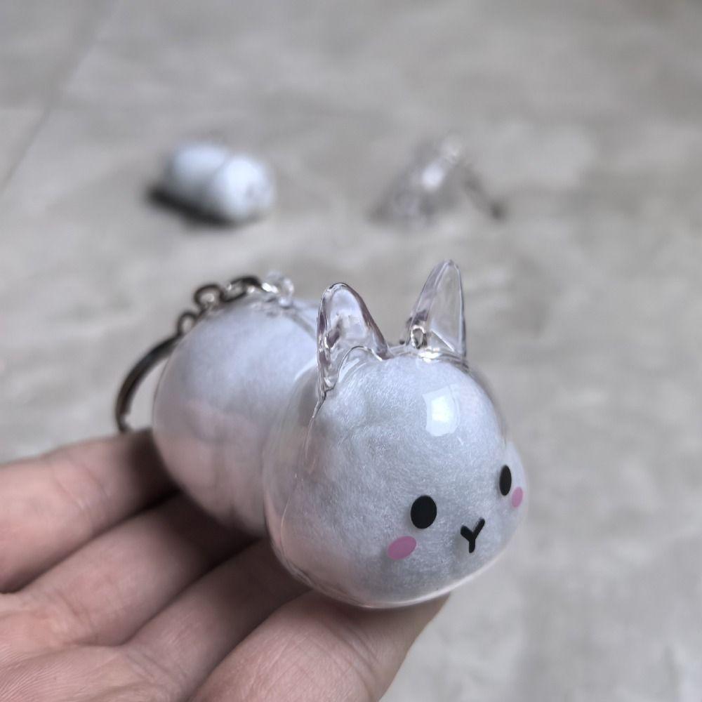 Keyrings Memorial Rabbit Hair Collector Transparent Rabbit Hair Storage Box Backpack