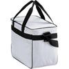 MIZUNO Baseball/Softball Cooler Bag M 1FJYC303 Silver