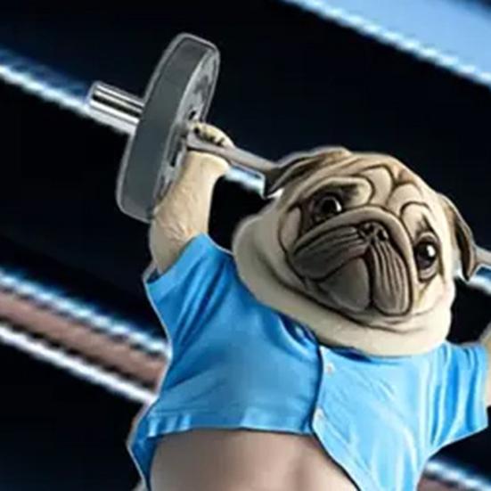 Автомобильный зажим для воздуховода, освежитель воздуха для собак, зажимы для духов, акриловое украшение для салона автомобиля