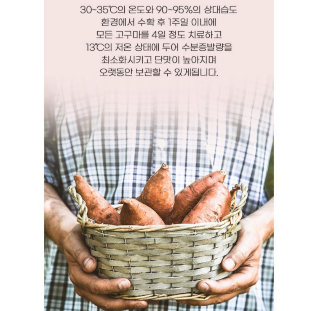 Korean Honey Dry Sweet Potato 60g / 100% Real Sweet Potato / Dried Snack