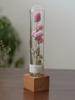 Wabi-Sabi Style Xian Porcelain Test Tube Rack: Retro Gift for Dried and Preserved Flowers, Plant Specimen Display