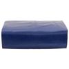 Maison Exclusive - Bâche bleu 3x5 m 650 g/m²