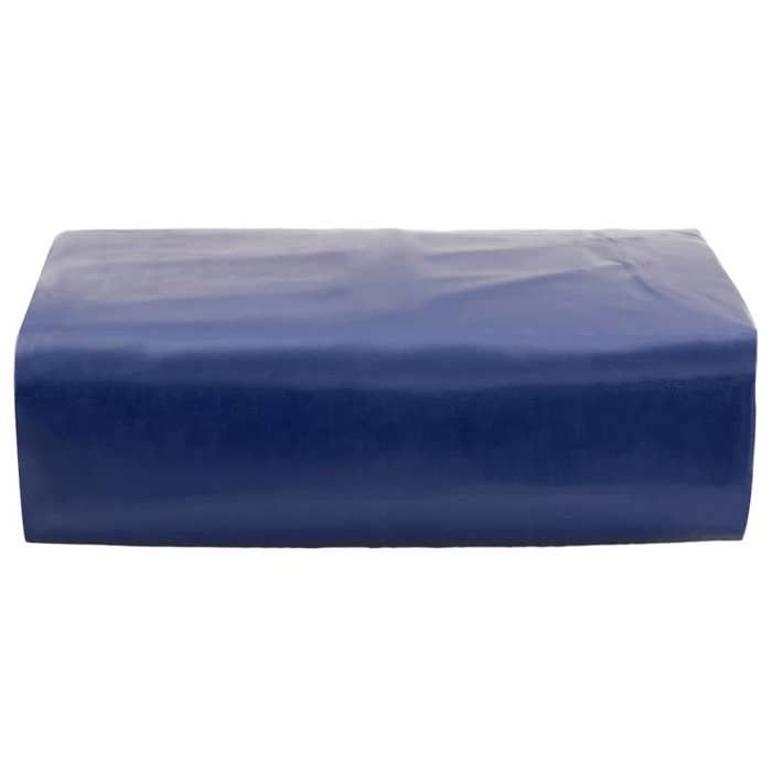 Maison Exclusive - Bâche bleu 3x5 m 650 g/m²