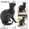 Трансграничная когнитивная фигурка кошки: Короткошерстный, Черно-белый котенок, Модель кошки персидской и рэгдолл