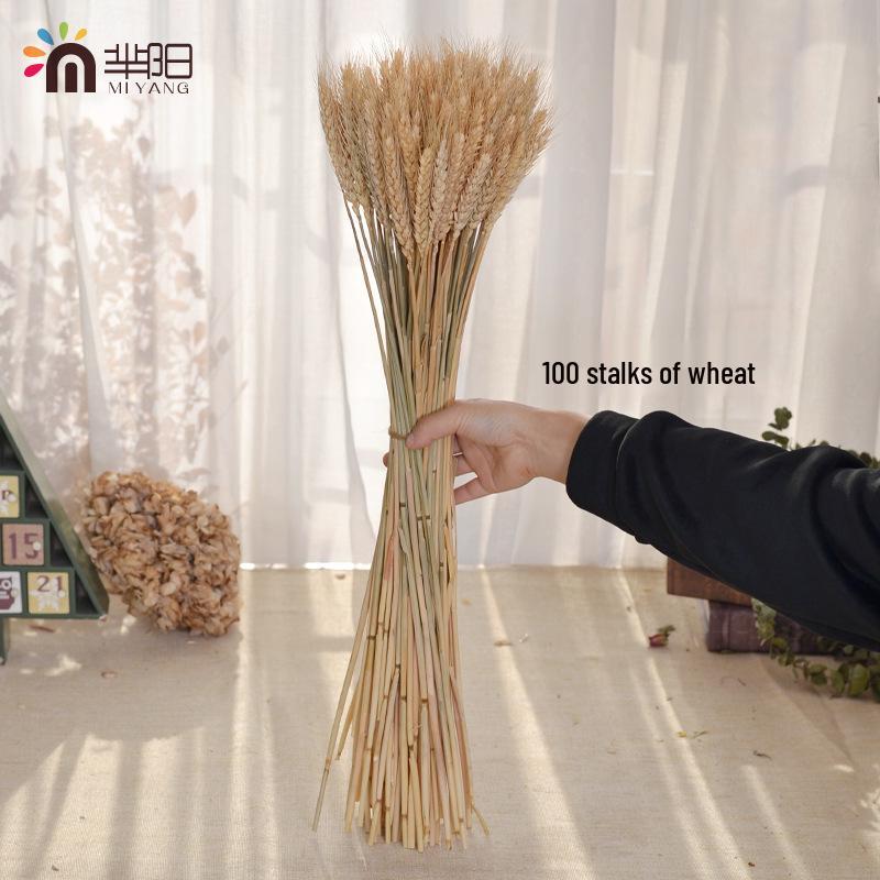 Natural Wheat Ear Dried Flower Bouquet: Barley Decor for Living Room, Bedroom, or Shop