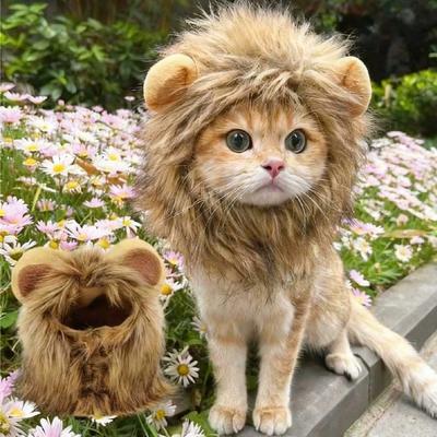 Новая милая смешная одежда для питомцев Кепка Милый парик для кошки Костюм Львиная грива Косплей Котёнок Собака Шапка с ушами Карнавальные принадлежности