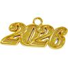 1/5 шт. Подвеска-шарм Шапочка выпускника 2025 года Подвеска Шапочка выпускника для выпускников 2025 года Украшение для церемонии Лучшая распродажа