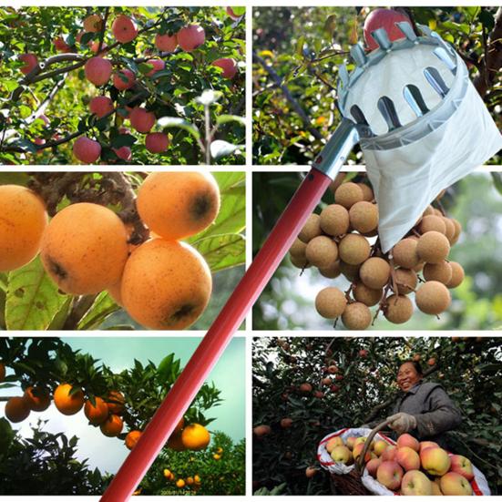 Fruit Picker Head Basket Long Handle Not Included Fruit Picking Tool with Collection Bag Fruit Harvesting Tool for Pear Peach Lemon Tree