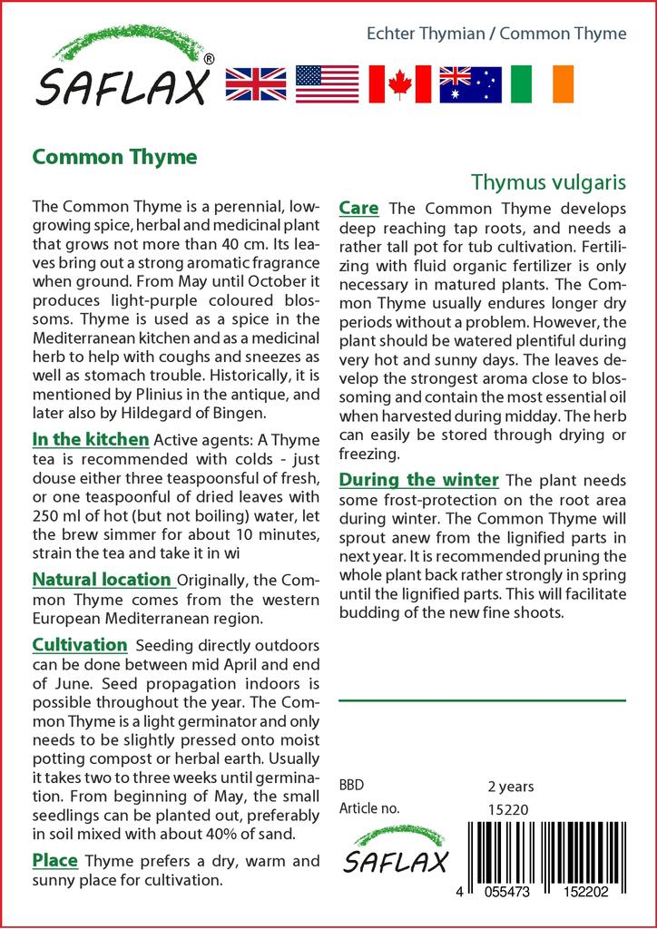SAFLAX Тимьян обыкновенный - 200 семян - Thymus vulgaris