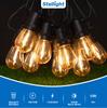 S14 1W Gold Plated E26 LED Garland Festoon String Light 10m 48ft IP45 Rated Dimmable Rechargeable Outdoor Garden Holiday Camping