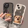 Applicable To Apple 14 Promax Mobile Phone Case IPhone 15 Funny Facial Mask Cat and Dog Mirror 13 Silicone Protective Case 12