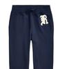 Polo Ralph Lauren Осень/Зима 23 Трикотажные спортивные штаны с принтом-буквами и кулиской Мужские брюки Темно-синий MNPOPNT1BQ20367-410